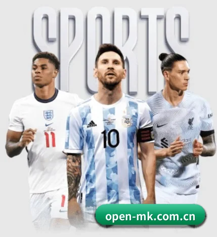 mk体育入口 APP | mksports